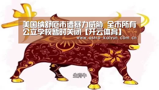 开云体育官方入口